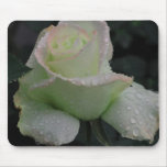 Purity - My Garden Rose Mousepads