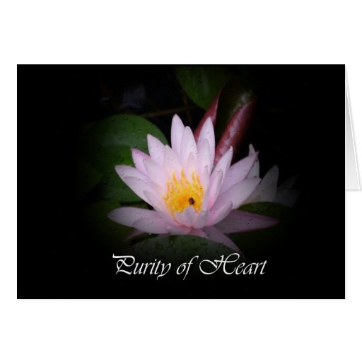 Purity of Heart Card