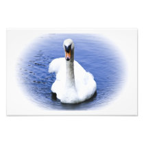 Purity Art Photo