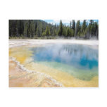 Purity Postcard