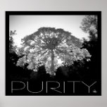 Purity posters