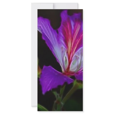 Purity Rack Cards by laureenr
