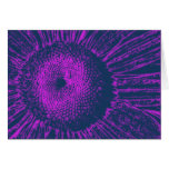Purple Abstract Sunflower cards