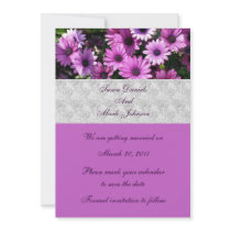 Purple African Daisies Floral Wedding Save The Dat