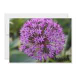 Purple Allium Flower Head Invitation