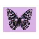Purple and Black Butterfly postcards