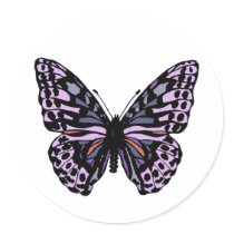 Purple and Black Butterfly