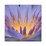 Purple and Gold Flower - Magnet