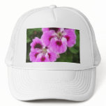 Purple and Mauve Geraniums 2 hats