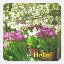 Purple and Pink Tulips Sticker