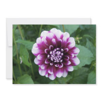 Purple and White Dahlia Personalized Invites