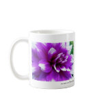 Purple and White Dahlia mugs