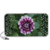 Purple and White Dahlia Iphone Speaker
