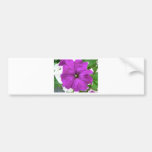 Purple And White Flower In The Grass Bumper Sticker