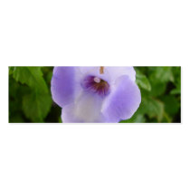 Purple and White Flowers Bookmark
