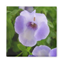 Purple and White Flowers Magnet