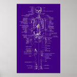 purple and white skeleton print