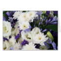 Purple and Whites cards