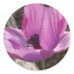 Purple Anemone Stickers