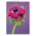 purple anenome cards