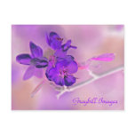 Purple Apple Blossom Postcard