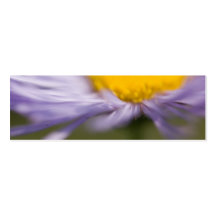 Purple Aster • Bookmark / Business Card