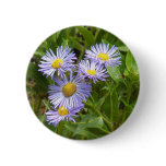 Purple Aster Pinback Buttons