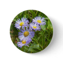 Purple Aster Pinback Buttons
