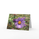 Purple Aster cards
