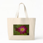 Purple Aster Flower Close up Bag