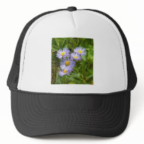 Purple Aster Hat