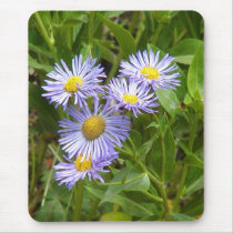 Purple Aster Mouse Pads