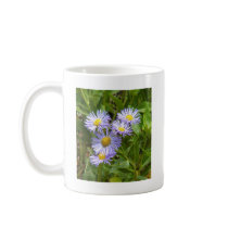 Purple Aster Coffee Mugs