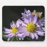 Purple Asters I Mousepad