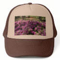 Purple Azaleas Flowers hats