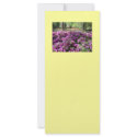 Purple Azaleas Flowers rack cards