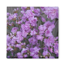 Purple Azaleas Merchandise