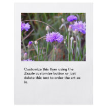 Purple bachelor buttons fun colourful garden flowe