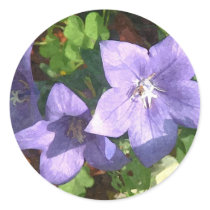 Purple Balloon Flowers Art print Stickers