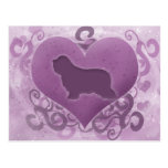 Purple Bearded Collie Valentine Post Card