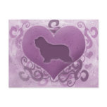 Purple Bearded Collie Valentine