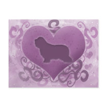 Purple Bearded Collie Valentine