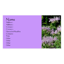 Purple Bee Balm Flower Photography Business Card