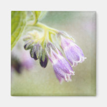 Purple Bells ... Beatiful Flower Square Magnet