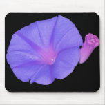 PURPLE BLOOM mousepads