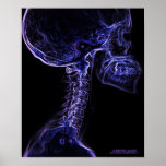 Purple/Blue  C-Spine X-ray poster