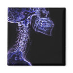 Purple/Blue C-spine X-ray square magnet