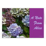 "Purple Blue Hydrangeas" Custom Notes Cards