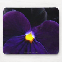 Purple Blue Velvet Pansy mousepads