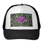Purple Bougainvillea Photo Trucker Hats
